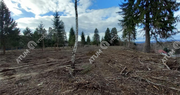 Teren intravilan 2000 mp de pe Valea Avrigului loc Avrig