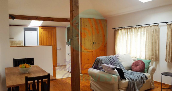Apartament cozy la mansarda unei vile