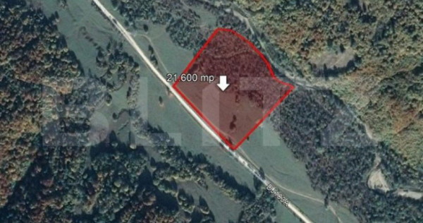 Teren 21.600 mp, Valea Zizinului
