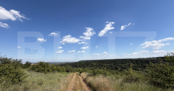 Teren 6291 mp, extravilan, zona Leamna de jos