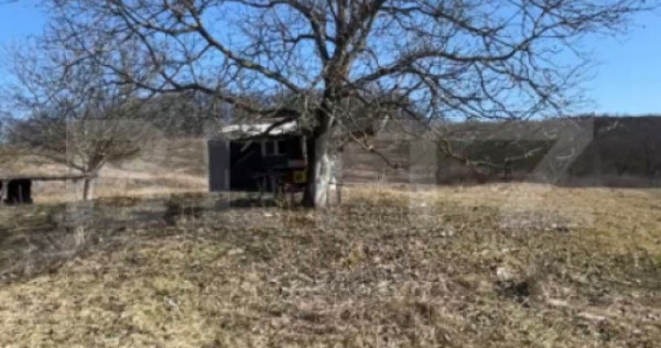 Livadă de nuci &ndash; 2 ha | Acces DN17 | Investiție profitab