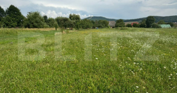 Teren 39 arii, zona str. Scolii, Unirea