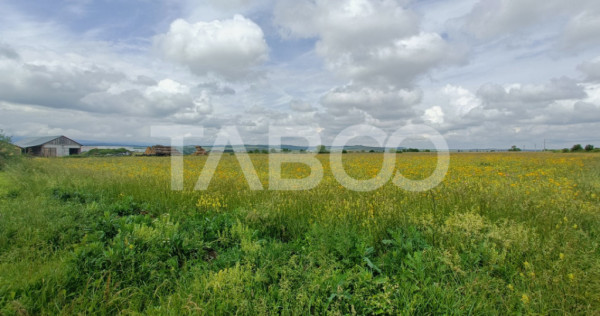 Teren de vanzare in zona Parcului Industrial Sura Mica cu ac