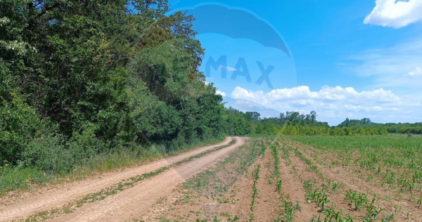 VANZARE teren intravilan agricol 5200 mp la padure Peris