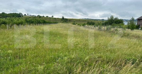 Teren intravilan pentru investit 5200 mp