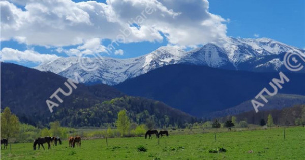 Teren intravilan 1250 mp de in Avrig zona Valea Avrigului