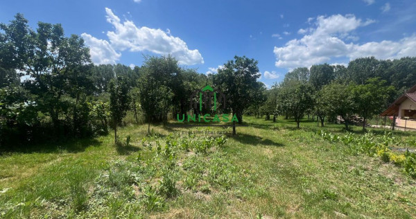 Teren Fedelesoiu/3200 mp/Intravilan