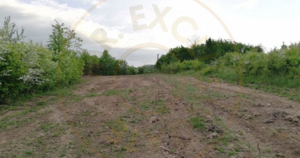 Teren 2000 mp intravilan Smeura-Mosoaia. Comision 0%