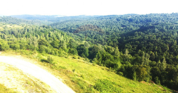 Teren de vanzare in Salicea, 10000 MP , Zona Moara de vant!