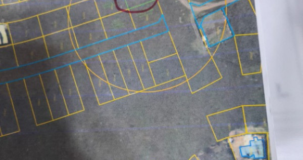 Veterani colt , deschidere 20/25