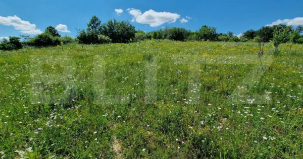 Teren intravilan 780mp Barnova Iasi