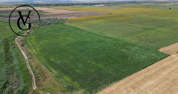 Valea Nucarilor - Teren agricol ideal culturi mari canalul a