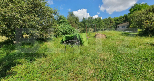 Casa 180mp utili, 15 ari de teren, Valea Slatinitei