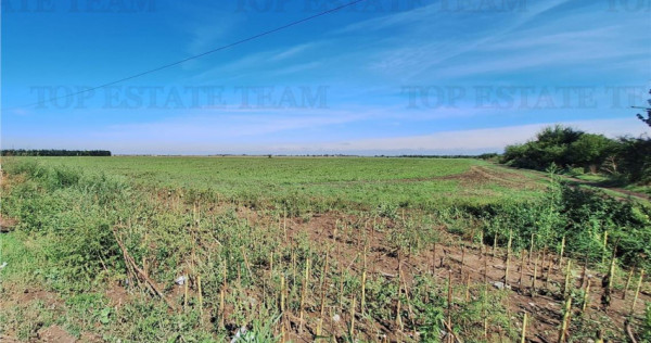 Teren extravilan -Braila - Soseaua Focsani -