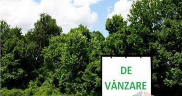 Teren intravilan, 12.200mp, zona Francei. (2 parcele-se va