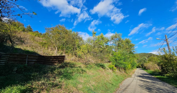 Teren intravilan de vanzare,Sat Bejan