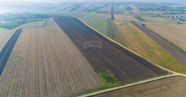 Teren 15,000mp Vorovesti / Strada Militari