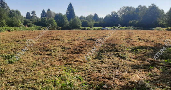 Teren intravilan de 1856 mp in Avrig zona Valea Avrigului