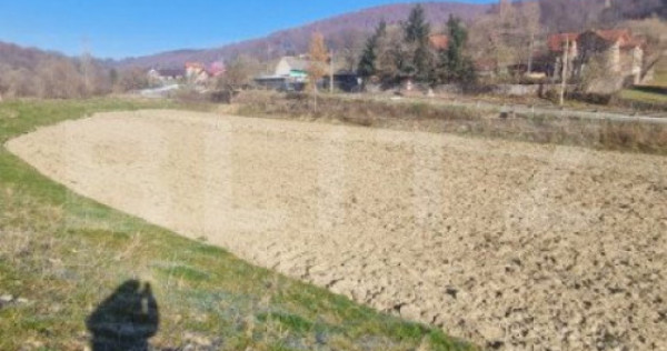 Teren extravilan - Sita Buzaului -6800 mp posibilitate trece