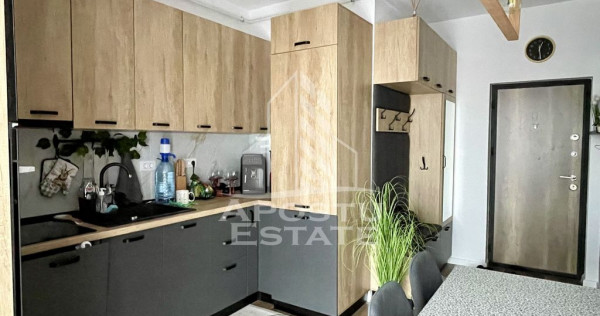 Apartament cu doua camere Calea Urseni