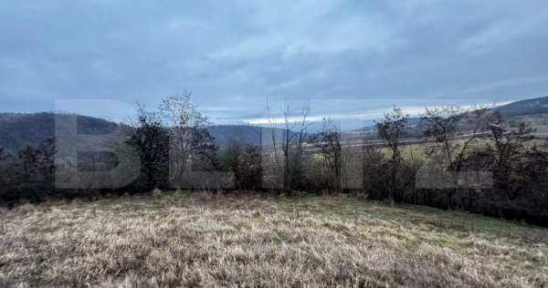 Teren extravilan 4300 mp, zona Criseni - Paclisa