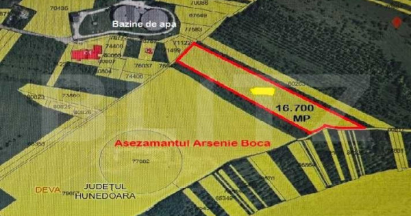 Teren in exclusivitate– extravilan, 16.700 mp, zona Deva N