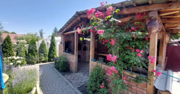 Casa in Sacele cu ciubar curte, pivnita, eleganta, gata de m