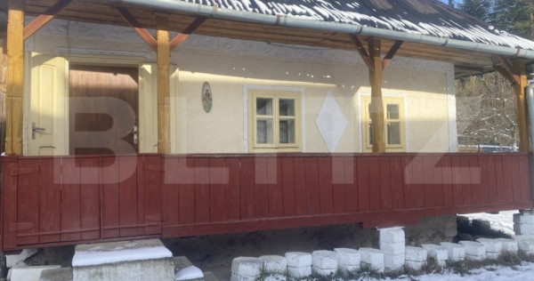 V&acirc;nzare 2 case tradiționale, 3 camere + teren, 3450 mp, Ca