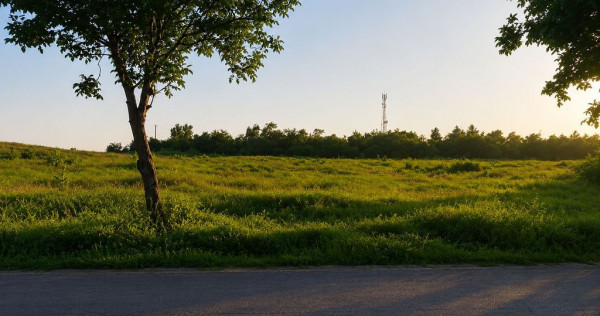 V&acirc;nzare teren intravilan &ndash; 9.500 mp, DN26 - Tulucesti
