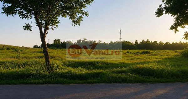 V&acirc;nzare teren intravilan &ndash; 9.500 mp, DN26 - Tulucesti