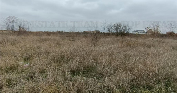 Teren intravilan de / Domnesti