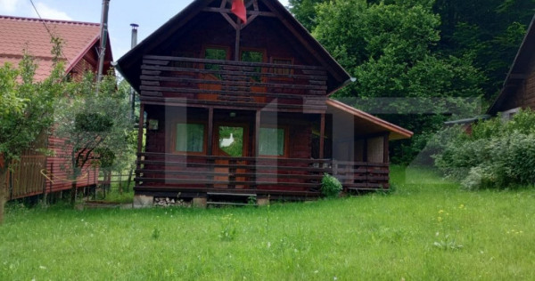 Casa de vacanță în Valea Inzelului – TRANSAPUSEANA, 459