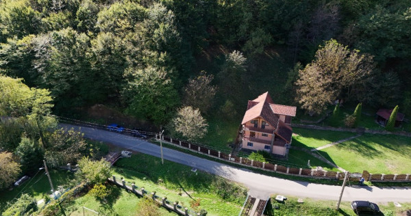 Vila Vetel zona Valea Caoi-OFERTA SPECIALA DE SARBATORI