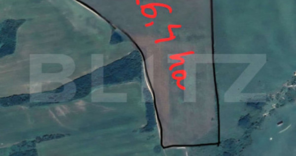 Tern extravilan 26,3974 ha, Ardud