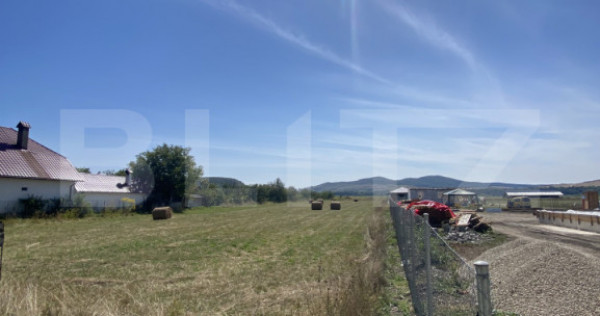 Teren Intravilan, 3000 mp, zona Chintelnic