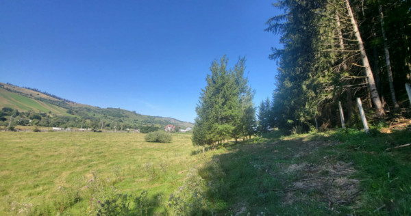 Teren, Ideal pentru Investitie Sau Dezvoltare