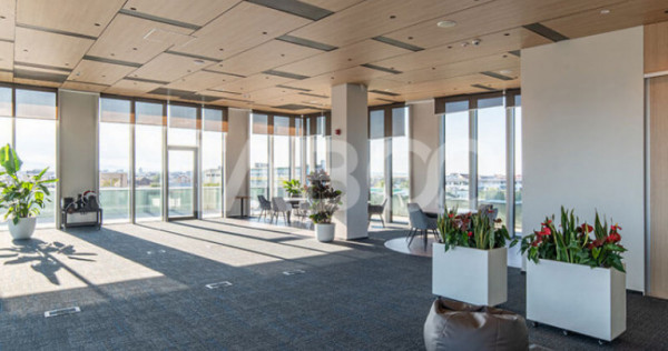 Birouri premium in Sibiu–Spatii flexibile moderne pentru c