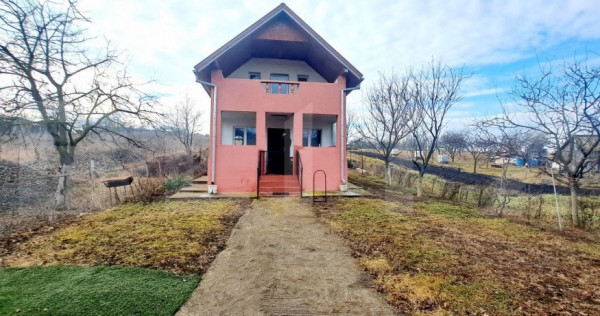 Casa individuala 90mp,teren 1000mp,situata in Dezmir