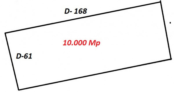 Teren Sos Straulesti Stradal 10000 New 2025