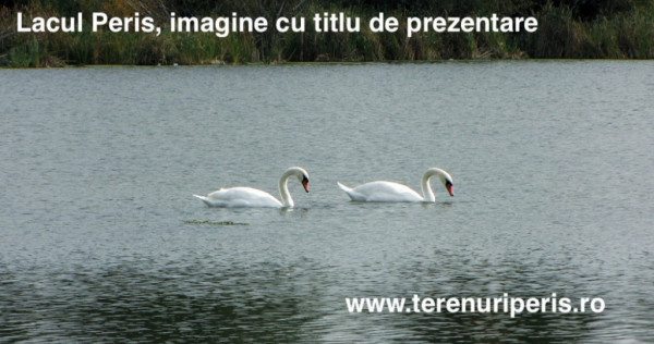 Teren Peris 500mp IN RATE 500 € teren langa Ciolpani, Izvorani