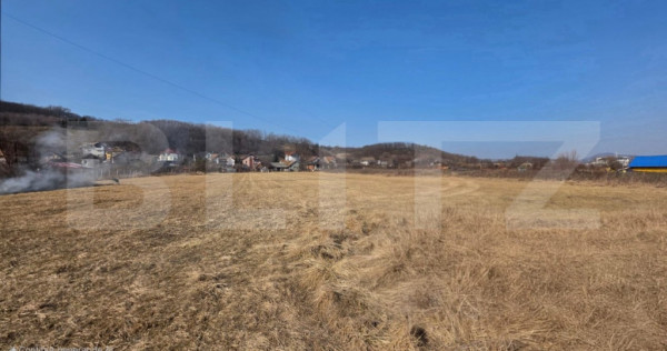 Teren intravilan de vanzare, 5600 mp, zona Viișoare
