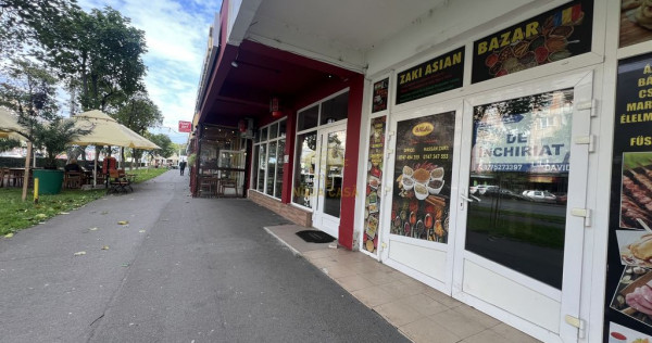 De Inchiriat Spatiu Careiului/MAGAZIN/AGENTII