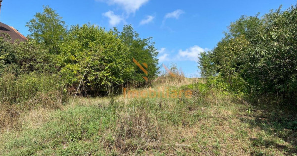 TEREN INTRAVILAN 2905 MP | DIOSIG