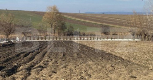 Teren intravilan, 2600 mp, Bosanci