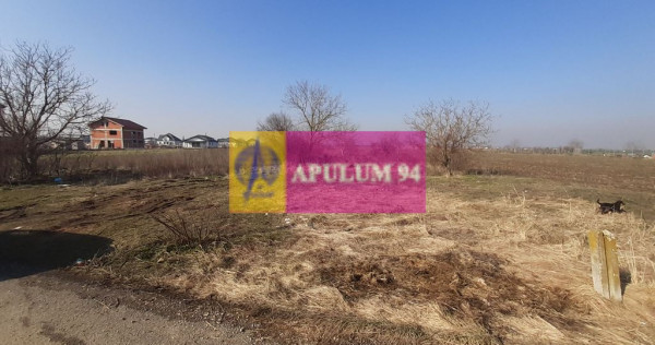 Teren investitie Ilfov