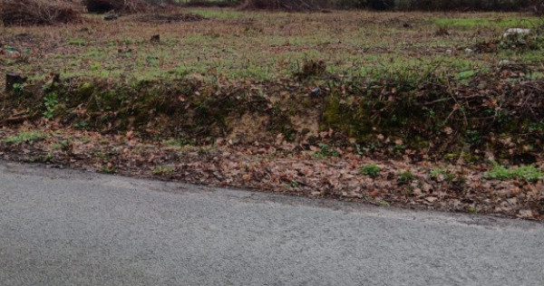 Unguras, 20 ari teren