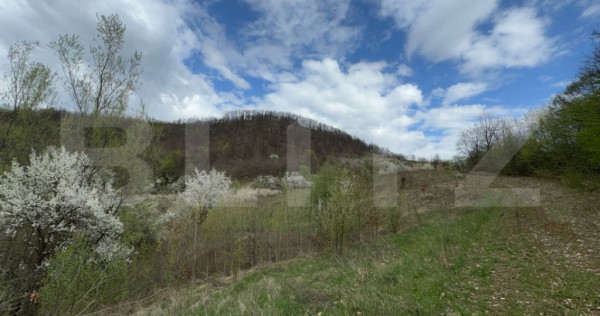 V&acirc;nd 17 ha teren extravilan, Carmazanesti