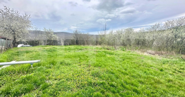 Teren intravilan de v&acirc;nzare &ndash; 728 mp, Oarda de Sus, cu pr