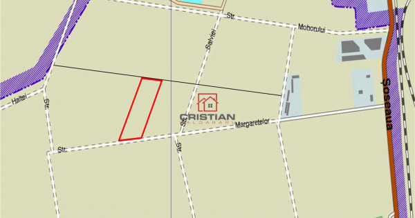 Teren Domnesti - Centura, ILFOV