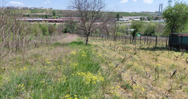 Teren intravilan 3.250 mp în Filești – Ideal pentru c...